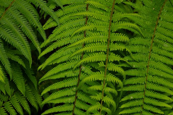 Casque anti bruit autisme : soulager la surcharge sensorielle efficacement