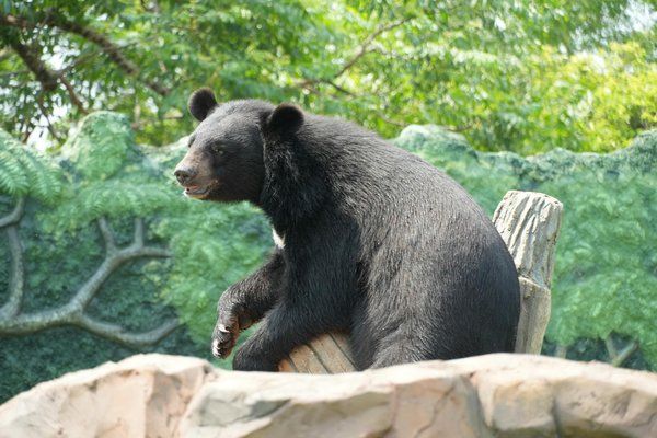 L'Impact Transformateur de l'Architecture Moderne sur la Dynamique de Gentrification